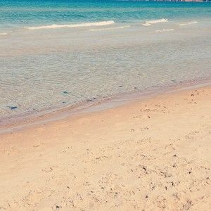 Meet your Posher, Katrina